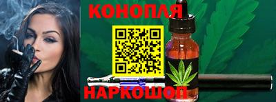 индика Лесосибирск